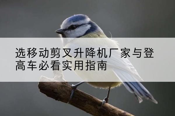 龙凤电动升降机厂家-选移动剪叉升降机厂家与登高车必看实用指南