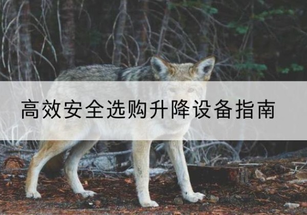 龙凤升降货梯厂家推荐-*安全选购升降设备指南
