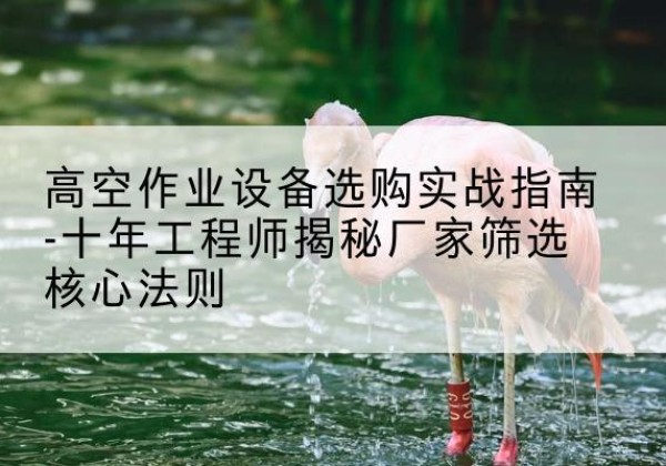 龙凤剪叉式升降机厂家-高空作业设备选购实战指南-十年工程师揭秘厂家筛选核心法则